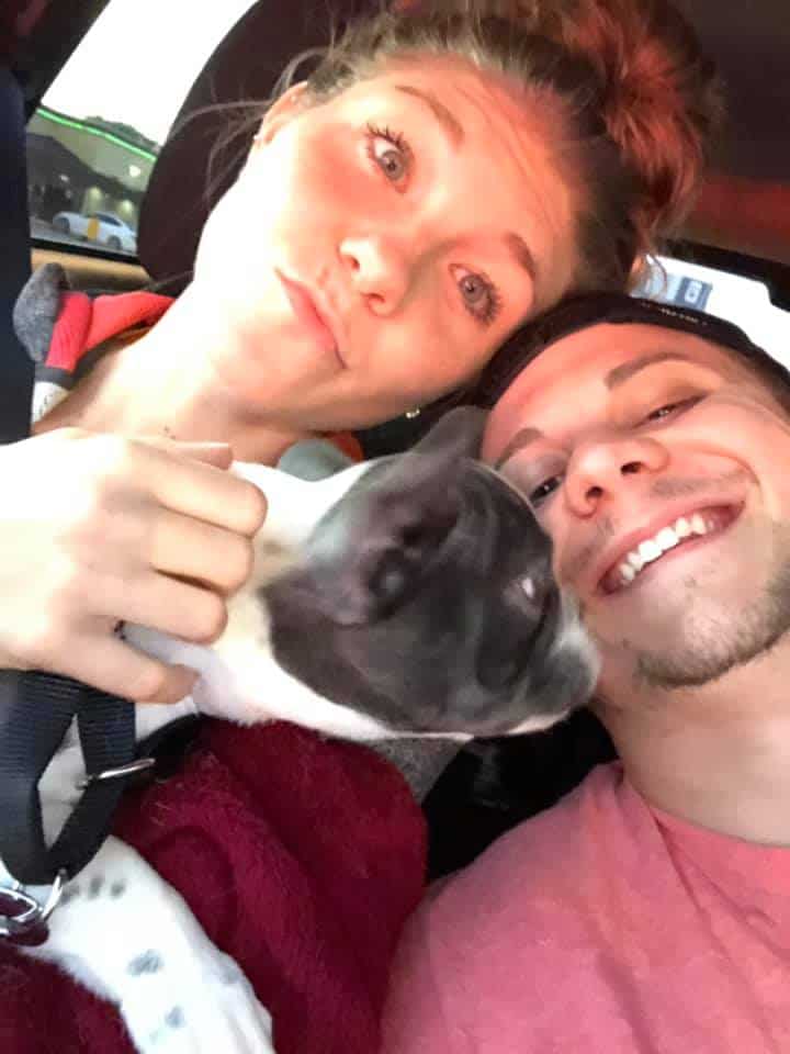 This is why Frenchie parents love Tomkings Puppies - TomKings Blog