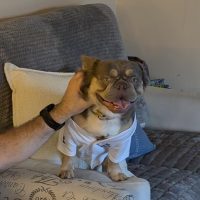 melissa